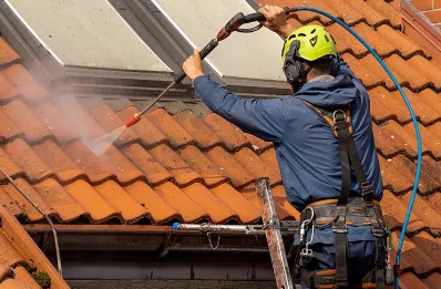 Démoussage et hydrofuge de toiture à Laveissenet